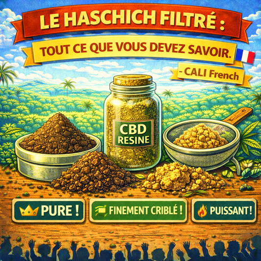 Le Haschich Filtré : Tout Ce Que Vous Devez Savoir - CALI FRENCH