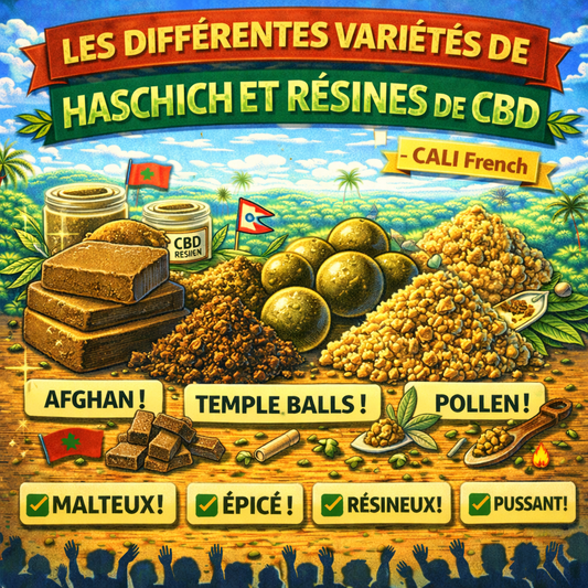 Les Différentes Variétés de Haschich et Résines de CBD - CALI FRENCH