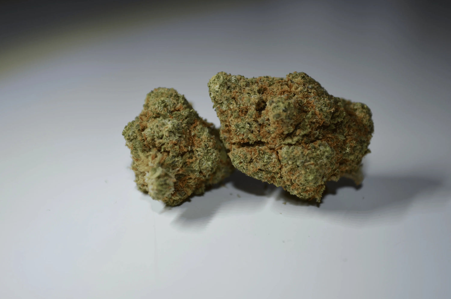 Papaya califrench