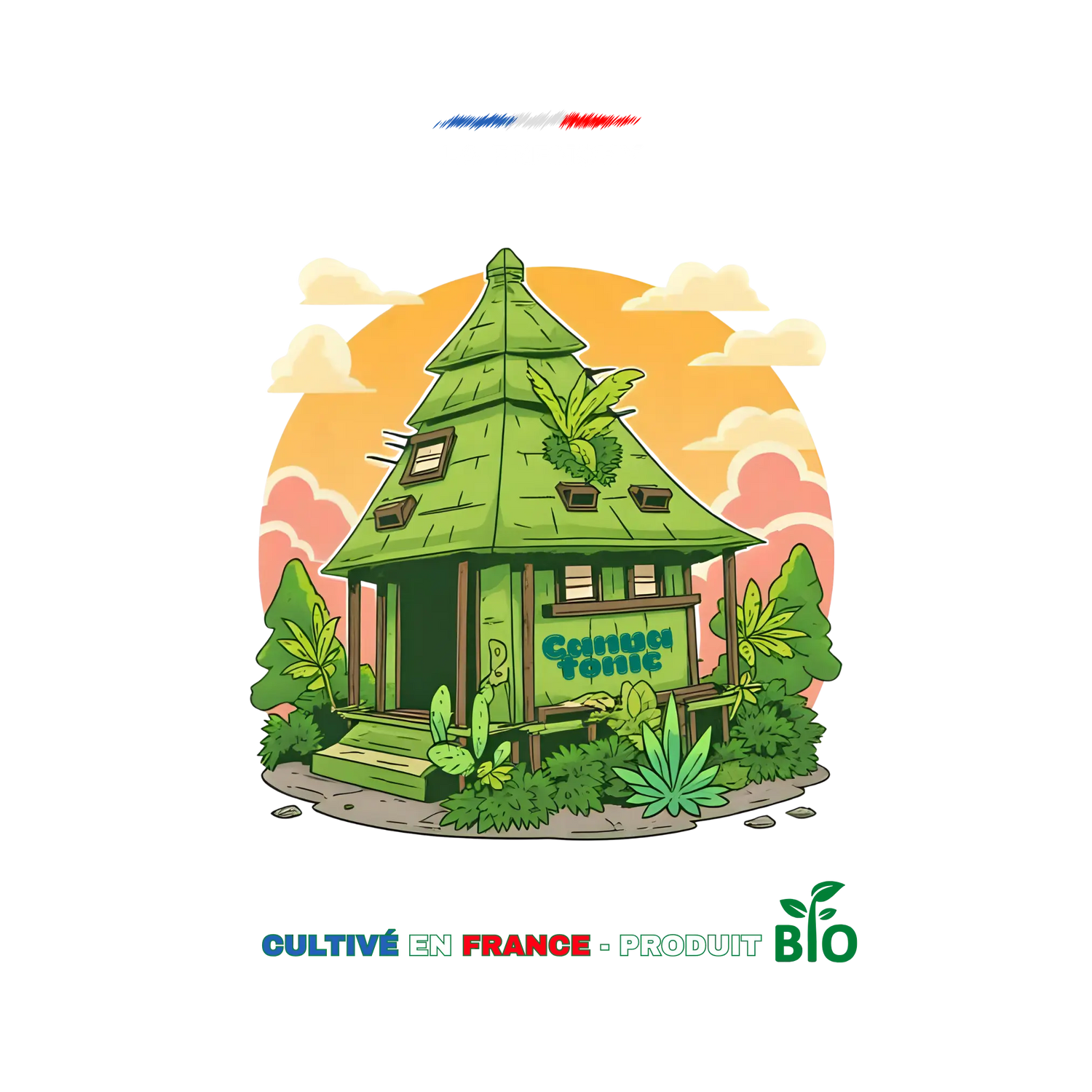 💫 Cannatonic CBD – Équilibrée, apaisante et pleine d’énergie zen 🌱 califrench