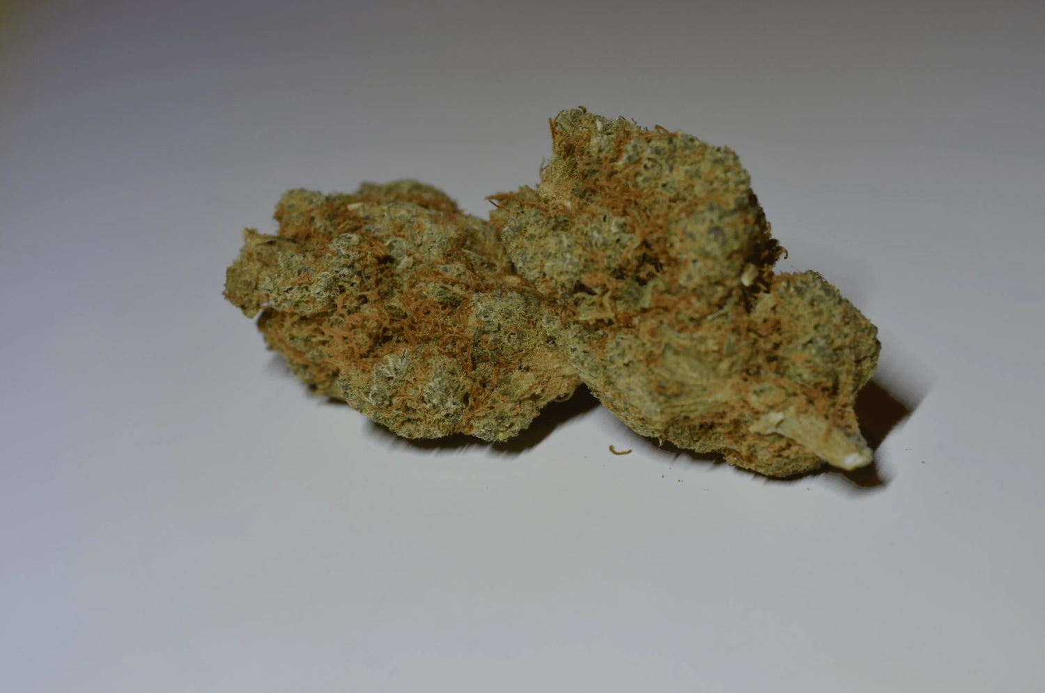 Gorilla Glue califrench