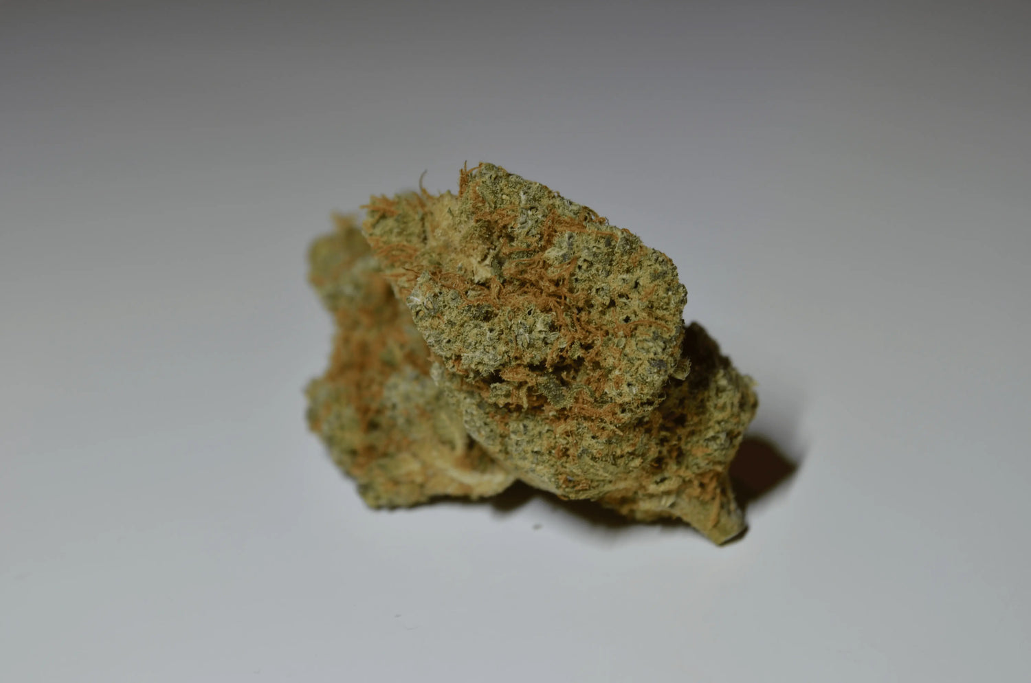 Gorilla Glue califrench
