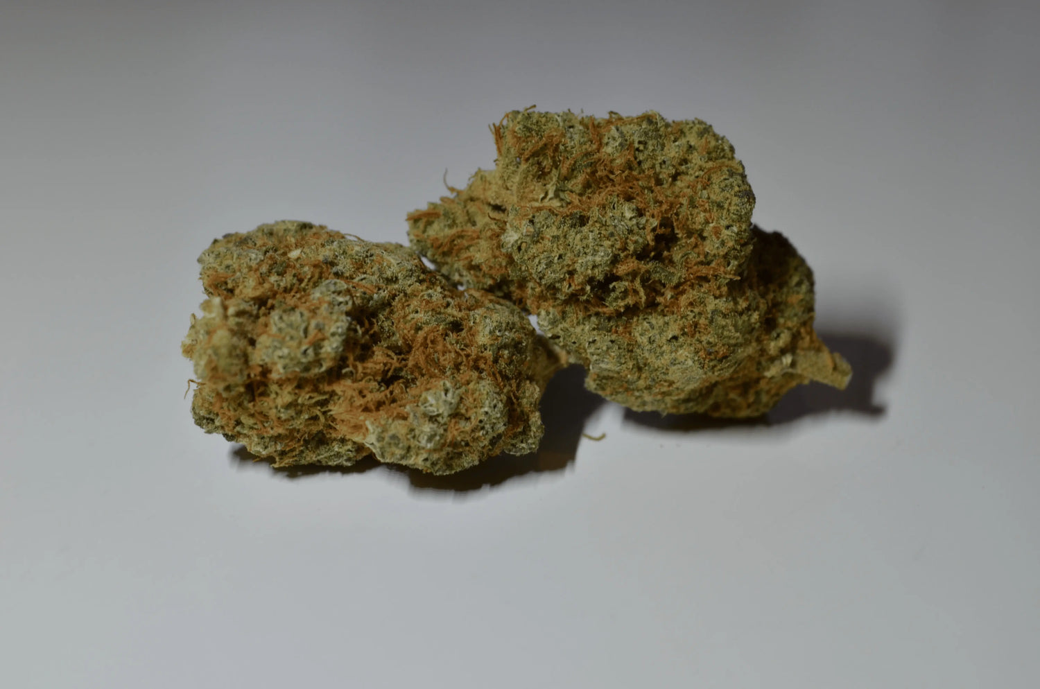 Gorilla Glue califrench