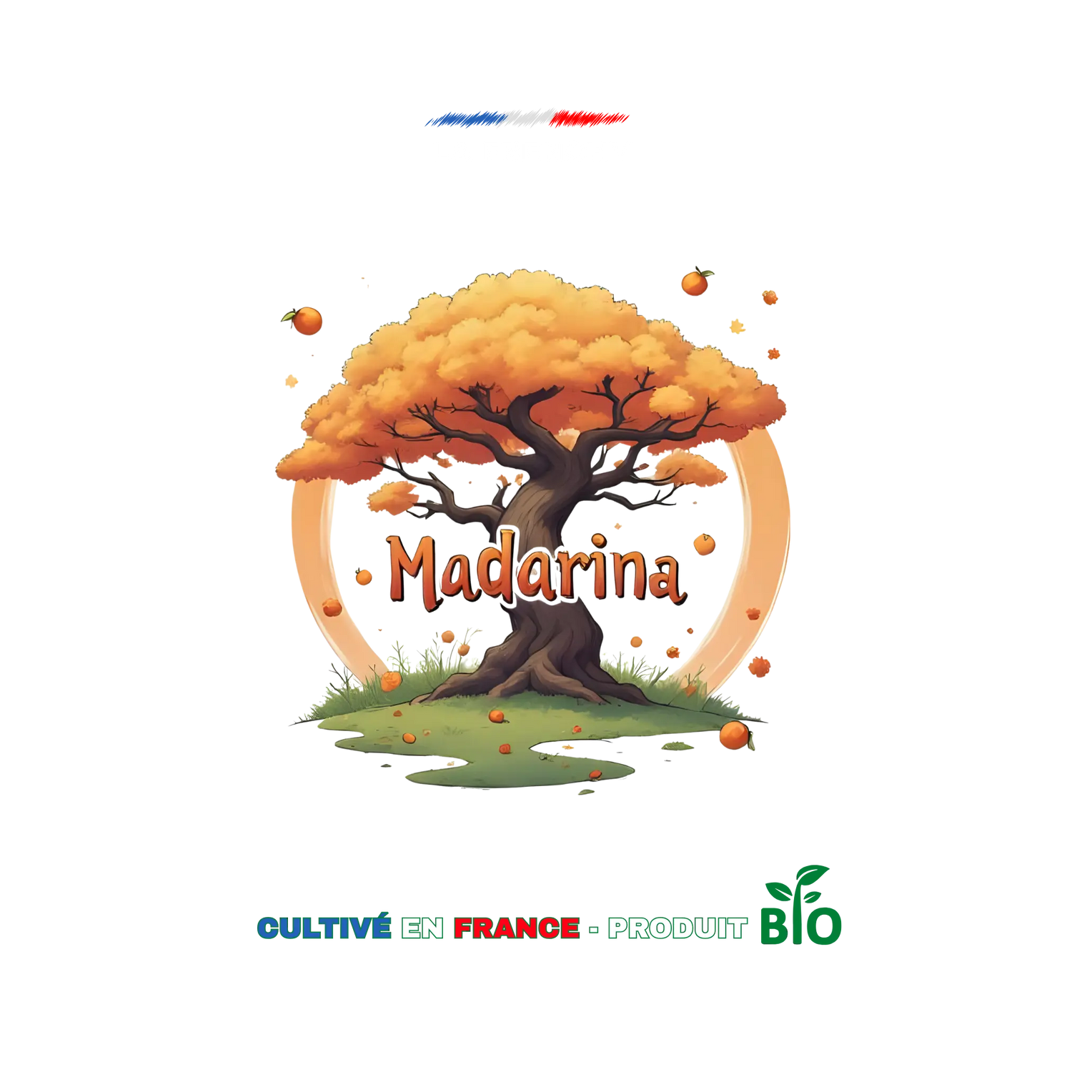🍊 Mandarina CBD – Fraîche, pétillante et pleine de soleil ☀️ califrench
