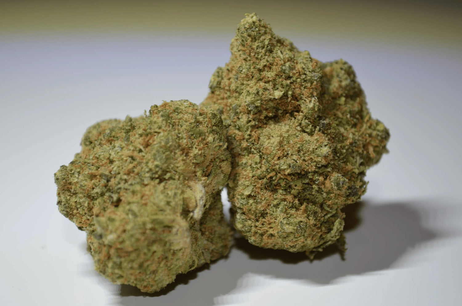 Zkittlez califrench