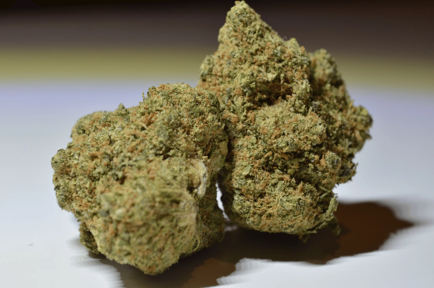 Zkittlez califrench